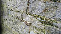 acastle 105810.jpg